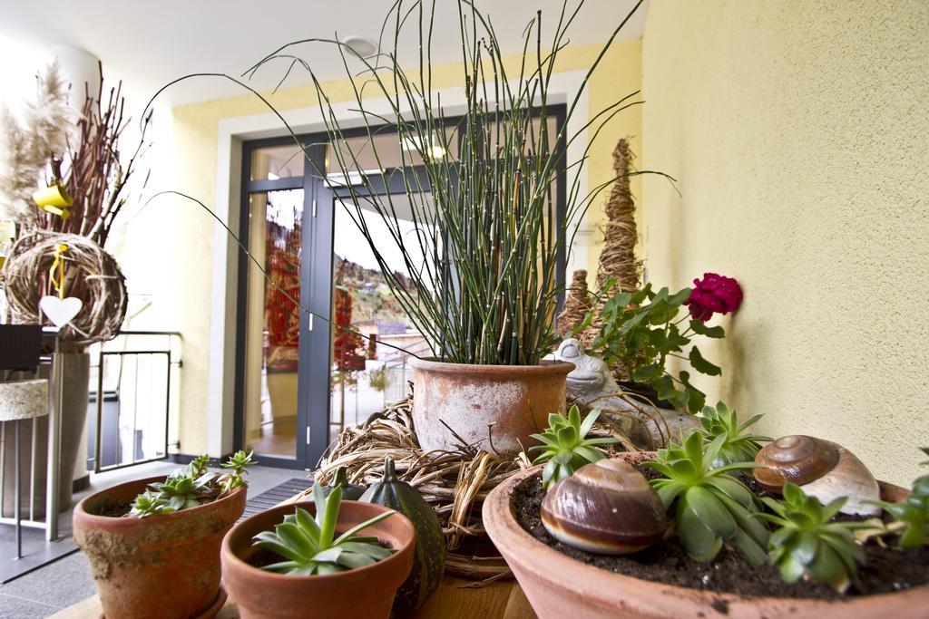 Hotel Zirngast Schladming Ngoại thất bức ảnh
